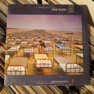 Pink Floyd - A Momentary Lapse Of Reason