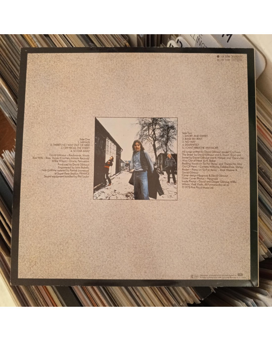 David Gilmour - David Gilmour David Gilmour - David Gilmour