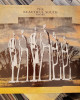 The Beautiful South - Choke The Beautiful South - Choke