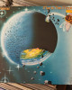 Nektar - Man In The Moon Nektar - Man In The Moon
