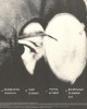 Sigur Rós - Kveikur