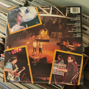 Stevie Ray Vaughan And Double Trouble - Live Alive 