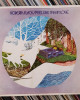 Roberta Flack - Feel Like Makin' Love Roberta Flack - Feel Like Makin' Love