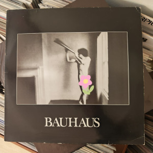 Bauhaus - In The Flat Field