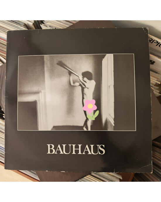 Bauhaus - In The Flat Field