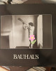 Bauhaus - In The Flat Field