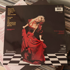 Stevie Nicks - The Other Side Of The Mirror