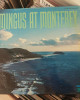 Charles Mingus - Mingus At Monterey