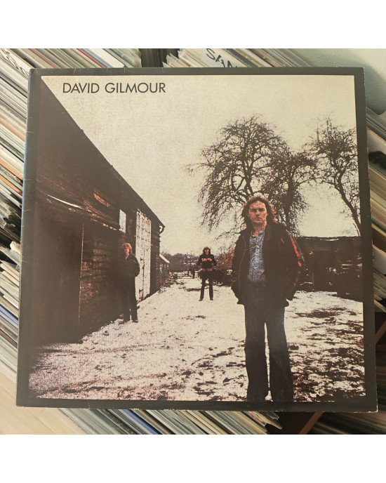 David Gilmour - David Gilmour