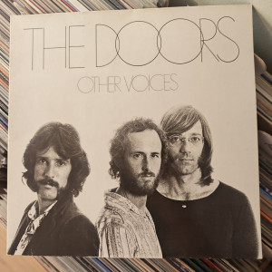 The Doors - Other Voices