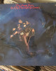 The Moody Blues - On The Threshold Of A Dream - 1969 İngiltere The Moody Blues - On The Threshold Of A Dream - 1969 İngiltere