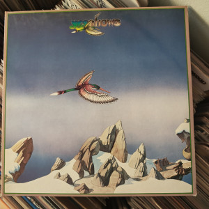 Yes - Yesshows