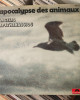 Vangelis Papathanassiou - L'Apocalypse Des Animaux Vangelis Papathanassiou - L'Apocalypse Des Animaux