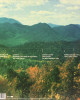 Tame Impala - Innerspeaker Tame Impala - Innerspeaker