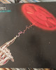 Camel - A Live Record Camel - A Live Record