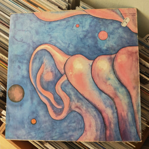 King Crimson - In The Court Of The Crimson King (An Observation By King Crimson)