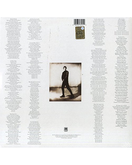 Sting - The Soul Cages