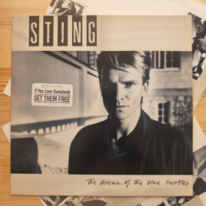 Sting - The Dream Of The Blue Turtles 
