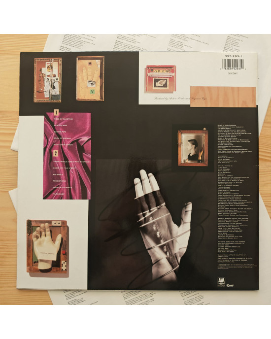 Suzanne Vega - Solitude Standing Suzanne Vega - Solitude Standing