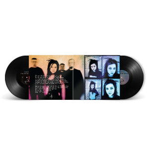 Evanescence - Fallen Fallen (20th Anniversary - Deluxe Edition - Black Vinyl) Evanescence - Fallen Fallen (20th Anniversary - Deluxe Edition - Black Vinyl)