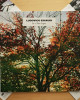 Ludovico Einaudi - In A Time Lapse Ludovico Einaudi - In A Time Lapse