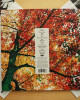 Ludovico Einaudi - In A Time Lapse Ludovico Einaudi - In A Time Lapse