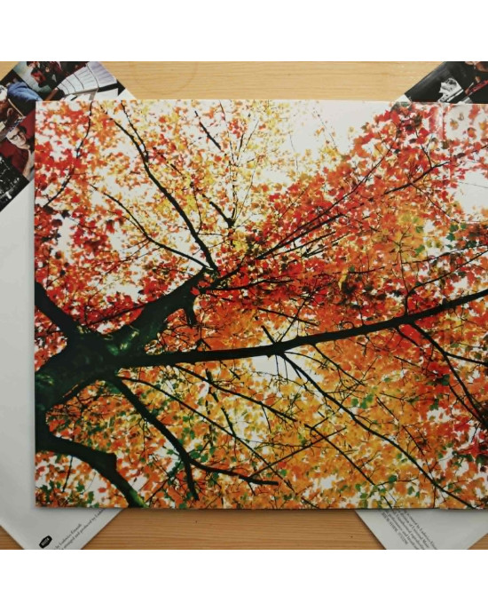 Ludovico Einaudi - In A Time Lapse Ludovico Einaudi - In A Time Lapse
