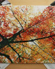 Ludovico Einaudi - In A Time Lapse Ludovico Einaudi - In A Time Lapse