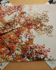 Ludovico Einaudi - In A Time Lapse Ludovico Einaudi - In A Time Lapse