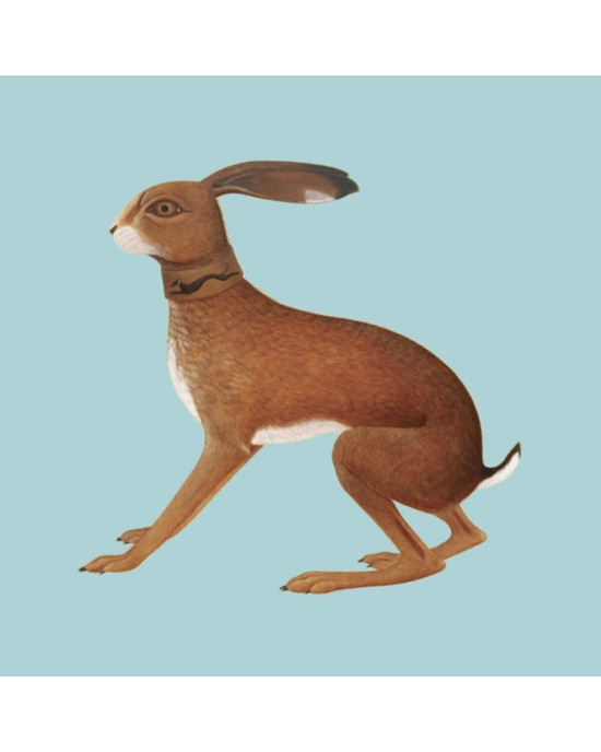 Vashti Bunyan - Lookaftering Vashti Bunyan - Lookaftering