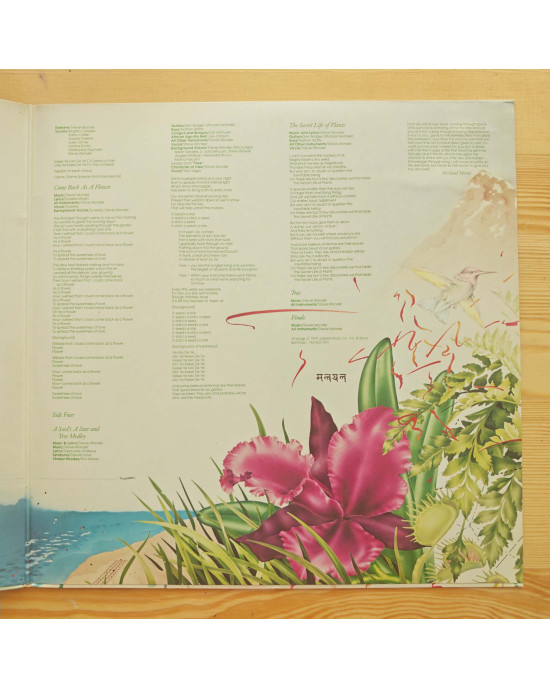 Stevie Wonder – Stevie Wonder’s Journey Through The Secret Life Of Plants Stevie Wonder – Stevie Wonder’s Journey Through The Secret Life Of Plants