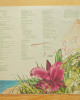 Stevie Wonder – Stevie Wonder’s Journey Through The Secret Life Of Plants Stevie Wonder – Stevie Wonder’s Journey Through The Secret Life Of Plants
