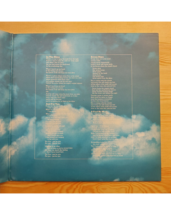 Peter Green - In The Skies - Limited Edition Green Vinyl Peter Green - In The Skies - Limited Edition Green Vinyl