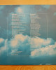 Peter Green - In The Skies - Limited Edition Green Vinyl Peter Green - In The Skies - Limited Edition Green Vinyl