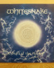 Whitesnake - Still Of The Night - Maxi Single Whitesnake - Still Of The Night - Maxi Single