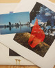 Pink Floyd – Wish You Were Here