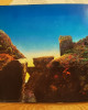 Led Zeppelin - Houses Of The Holy