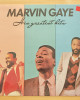 Marvin Gaye - His Greatest Hits