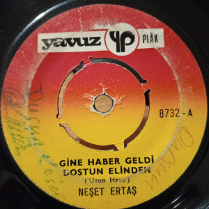 Neşet Ertaş - Gine Haber Geldi Dostun Elinden / Gönül Dağı - 45'lik