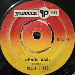 Neşet Ertaş - Gine Haber Geldi Dostun Elinden / Gönül Dağı - 45'lik Neşet Ertaş - Gine Haber Geldi Dostun Elinden / Gönül Dağı - 45'lik