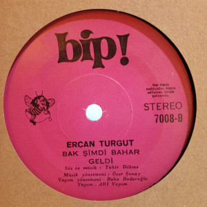 Ercan Turgut - Kim Demiş Erkekler Ağlamaz Diye / Bak Şimdi Bahar Geldi - 45'lik