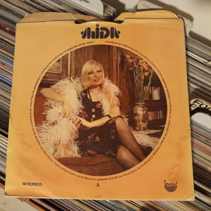 Ajda Pekkan - (Ajda) Hoş Gör Sen - 2. Baskı, 1975, Türkiye