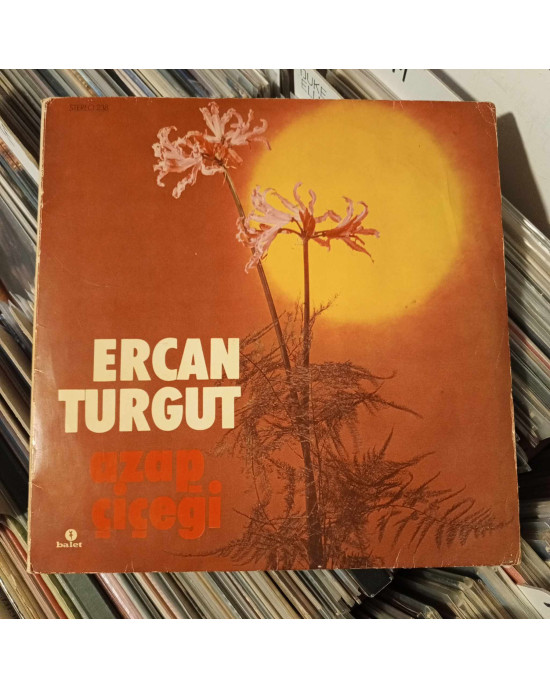 Ercan Turgut - Azap Çiçeği Ercan Turgut - Azap Çiçeği