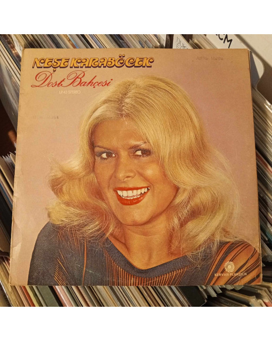 Neşe Karaböcek - Dost Bahçesi