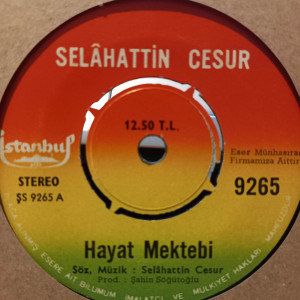Selahattin Cesur - Hayat Mektebi / Kilitli Kalp - 45'lik