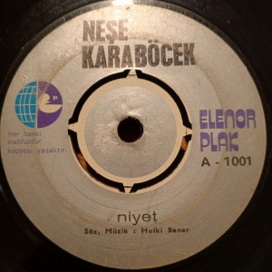 Neşe Karaböcek - Niyet / Hatıralar  - 45'lik