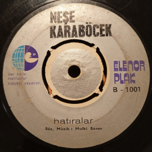 Neşe Karaböcek - Niyet / Hatıralar  - 45'lik