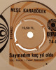 Neşe Karaböcek - Duydum Ki Unutmuşsun / Saymadım Kaç Yıl Oldu - 45'lik Neşe Karaböcek - Duydum Ki Unutmuşsun / Saymadım Kaç Yıl Oldu - 45'lik