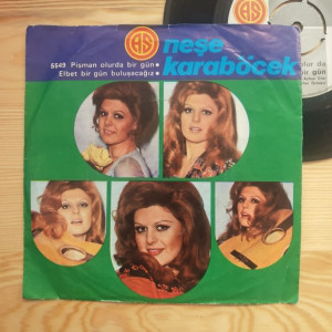Neşe Karaböcek - Pişman Olur Da Bir Gün / Elbet Bir Gün Buluşacağız - 45'lik