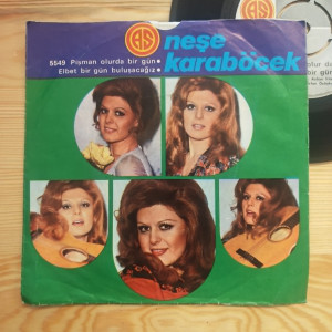 Neşe Karaböcek - Pişman Olur Da Bir Gün / Elbet Bir Gün Buluşacağız - 45'lik Neşe Karaböcek - Pişman Olur Da Bir Gün / Elbet Bir Gün Buluşacağız - 45'lik